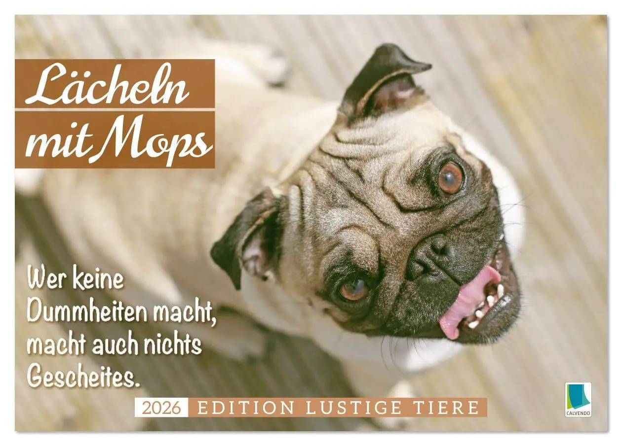 Cover: 9783516614558 | Lächeln mit Mops (Tischkalender 2026 DIN A5 quer), CALVENDO...