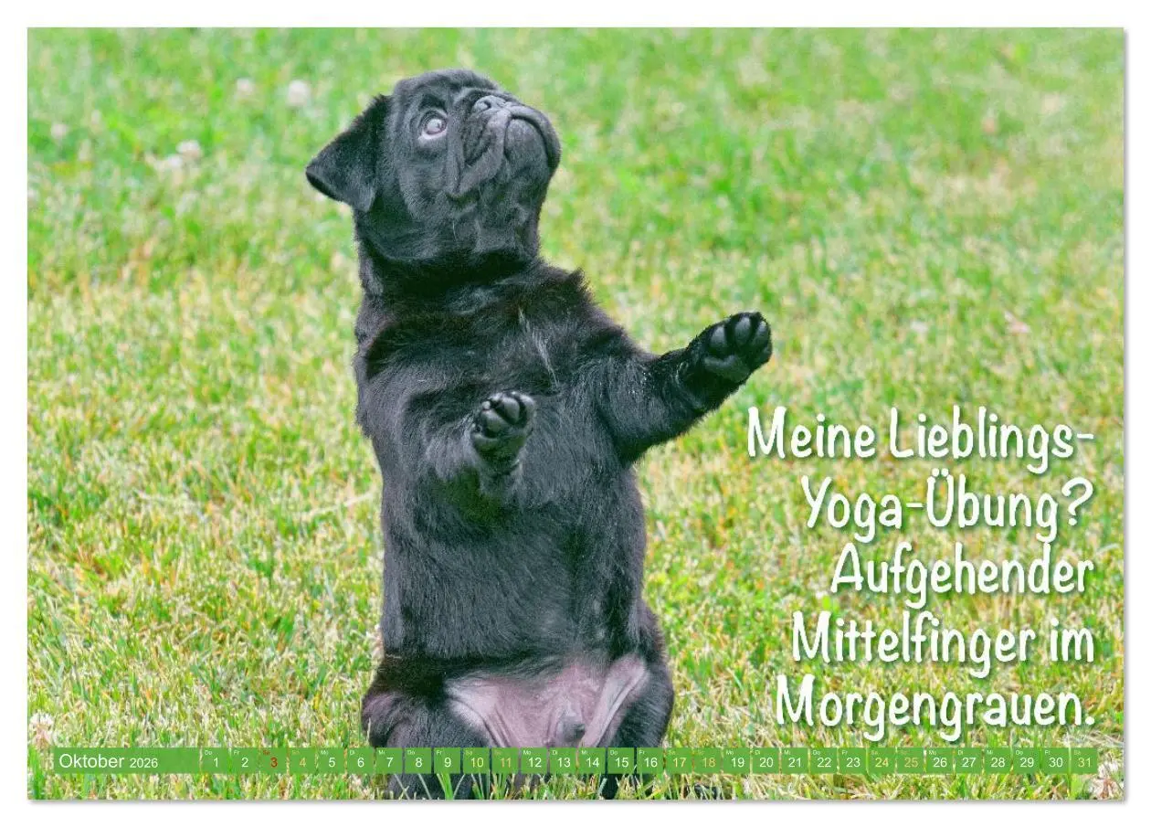 Bild: 9783516614558 | Lächeln mit Mops (Tischkalender 2026 DIN A5 quer), CALVENDO...