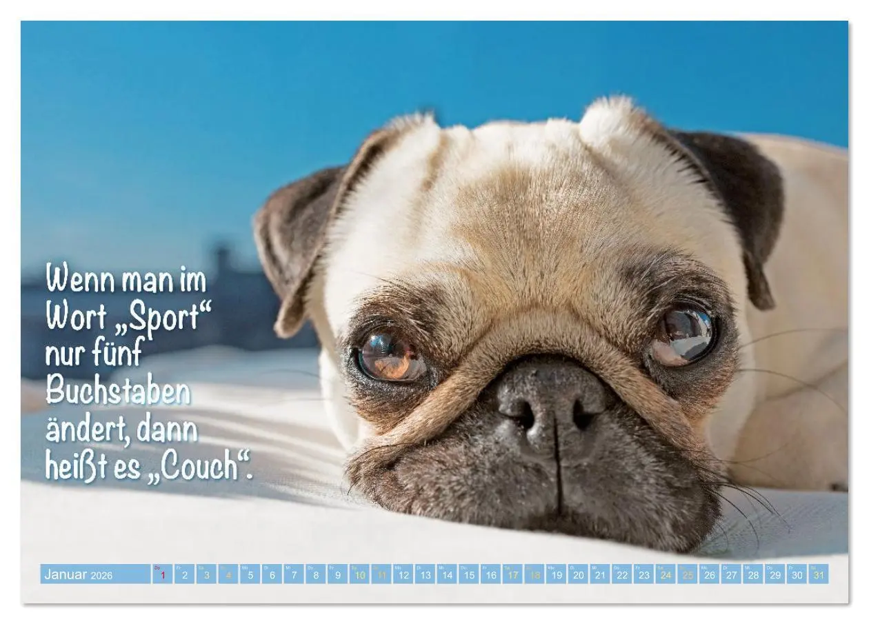 Bild: 9783516614558 | Lächeln mit Mops (Tischkalender 2026 DIN A5 quer), CALVENDO...