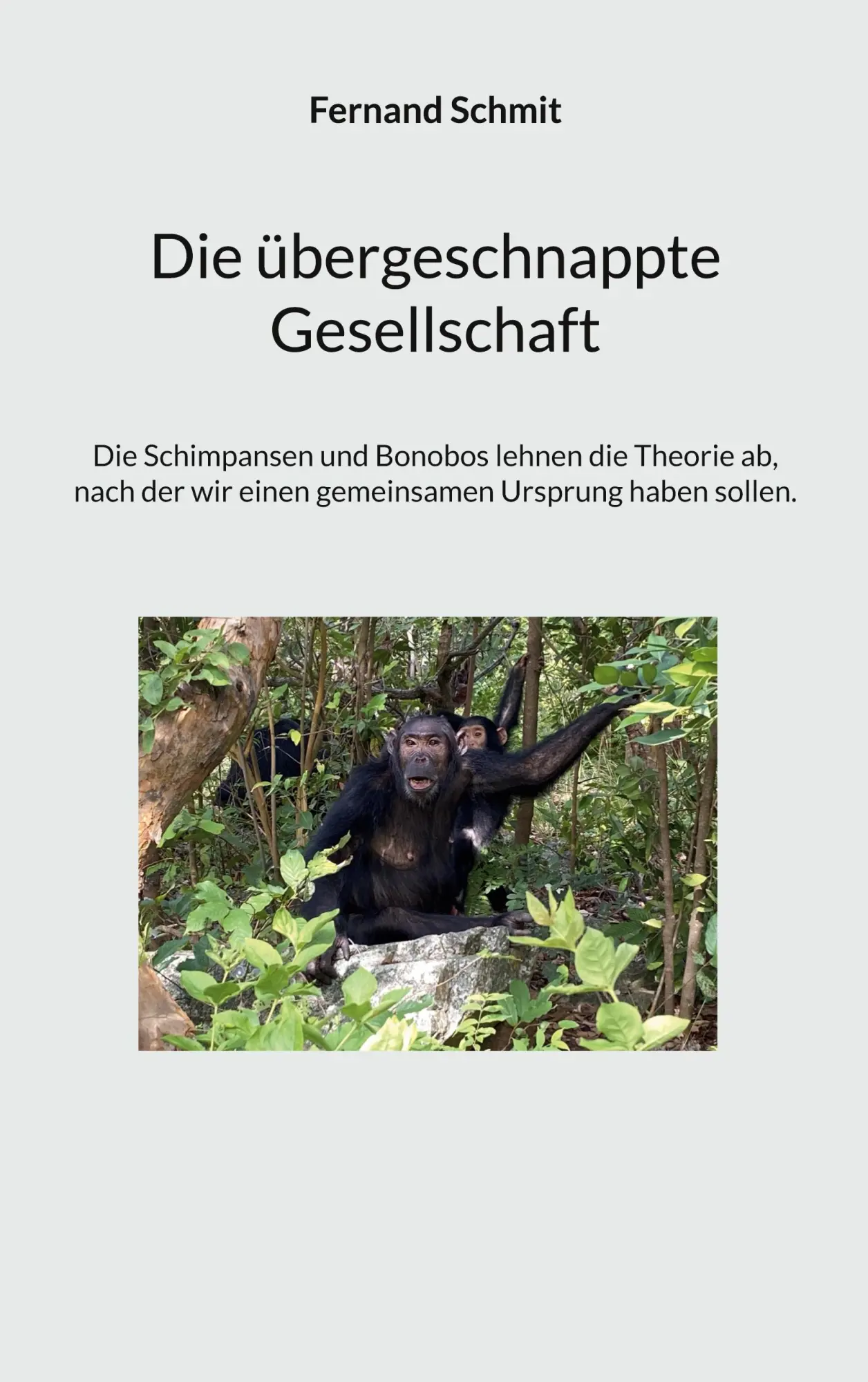 Cover: 9783695744558 | Die übergeschnappte Gesellschaft | Fernand Schmit | Taschenbuch | 2026