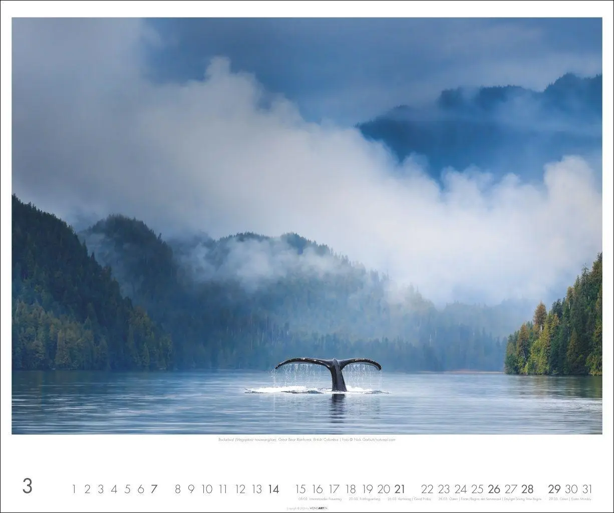 Bild: 9783839904558 | Kanada Kalender 2027 - Der Ruf der Wildnis | Kalender | Spiralbindung
