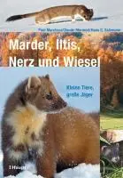 Cover: 9783258074658 | Marder, Iltis, Nerz und Wiesel | Kleine Tiere, große Jäger | Buch