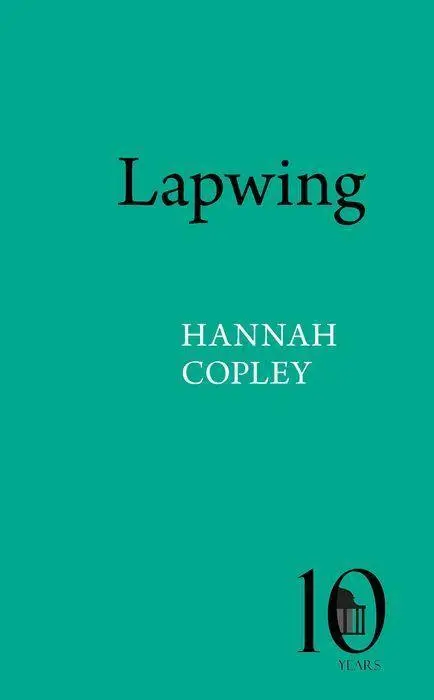 Cover: 9781802074758 | Lapwing | Hannah Copley | Taschenbuch | Einband - flex.(Paperback)