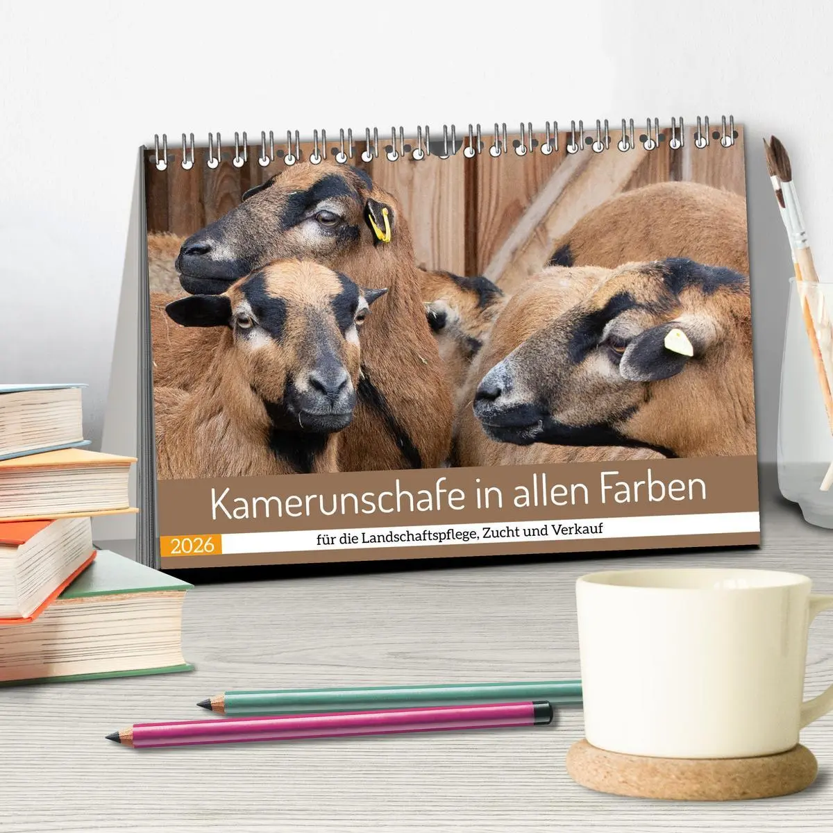 Bild: 9783457434758 | Kamerunschafe in allen Farben (Tischkalender 2026 DIN A5 quer),...