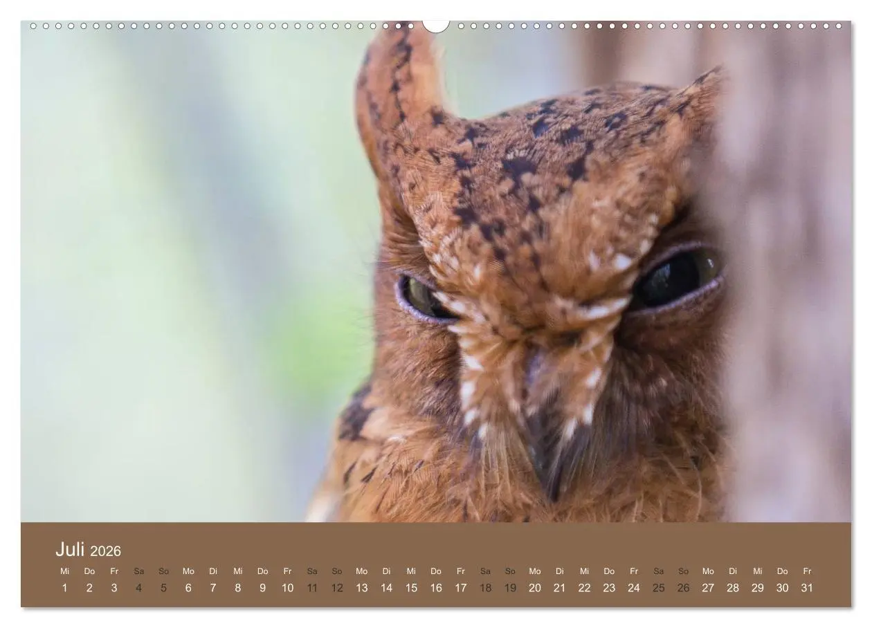 Bild: 9783516074758 | Madagaskars wundersame Tierwelt (hochwertiger Premium Wandkalender...