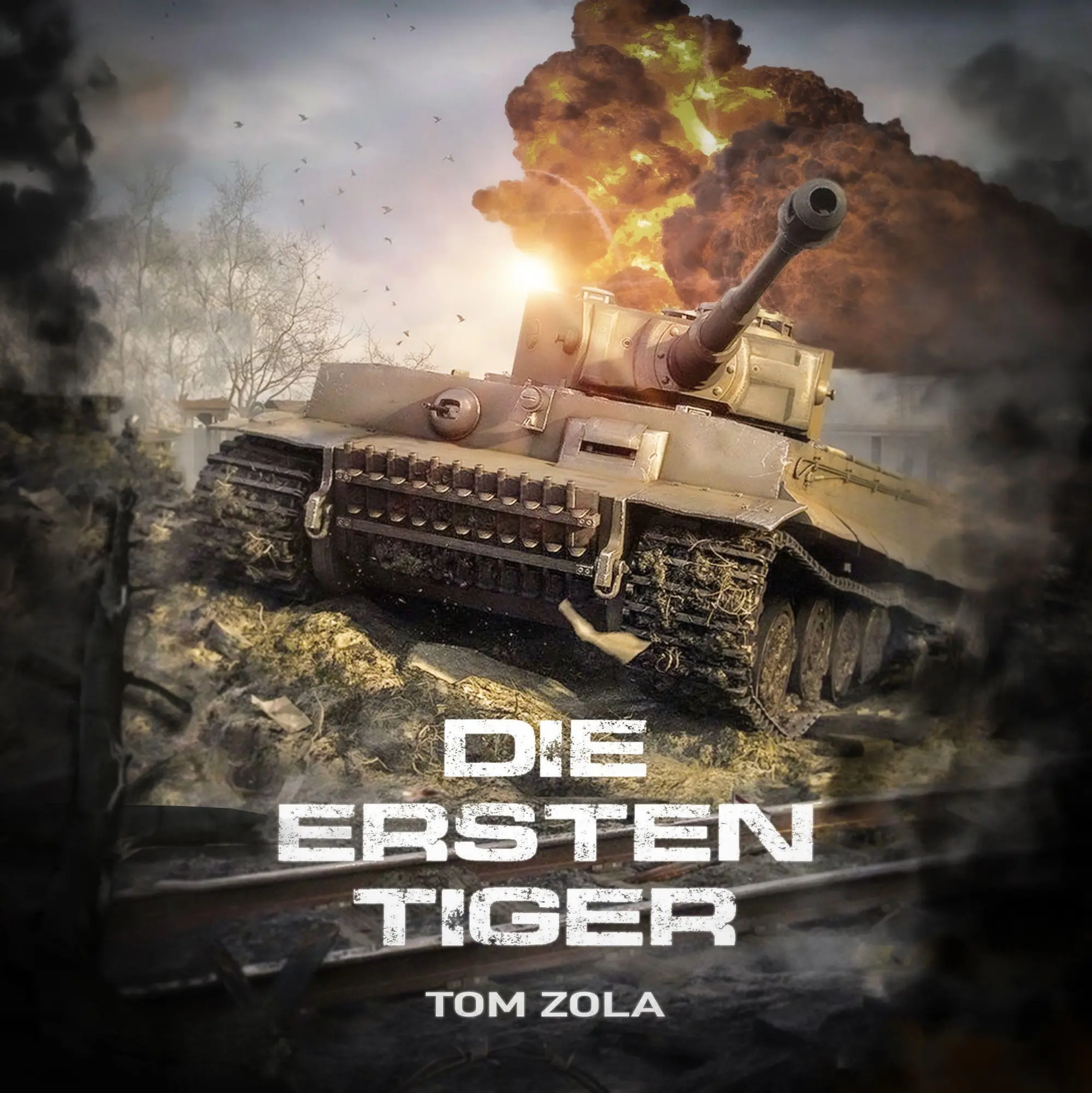 Autor: 9783384164858 | Stahlzeit Band 2 | Die Ostfront brennt! - Der andere 2. Weltkrieg