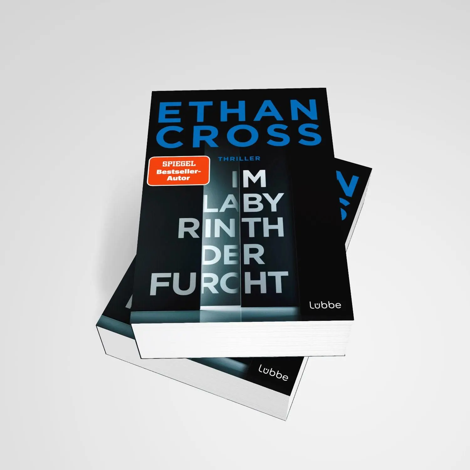 Bild: 9783404194858 | Im Labyrinth der Furcht | Ethan Cross | Taschenbuch | 480 S. | Deutsch