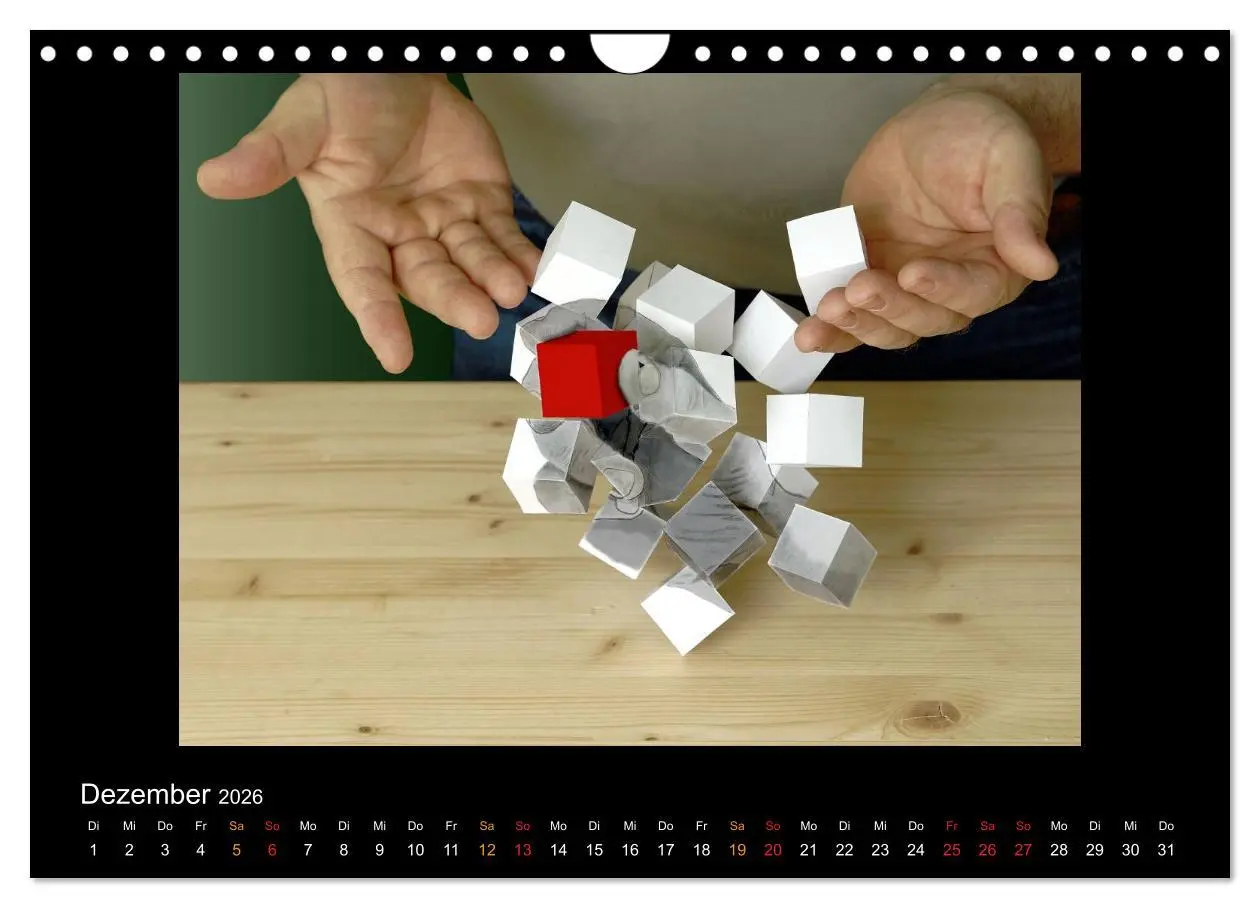 Bild: 9783516134858 | optische Täuschungen 2026 (Wandkalender 2026 DIN A4 quer), CALVENDO...
