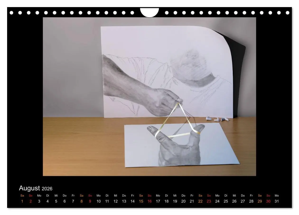 Bild: 9783516134858 | optische Täuschungen 2026 (Wandkalender 2026 DIN A4 quer), CALVENDO...