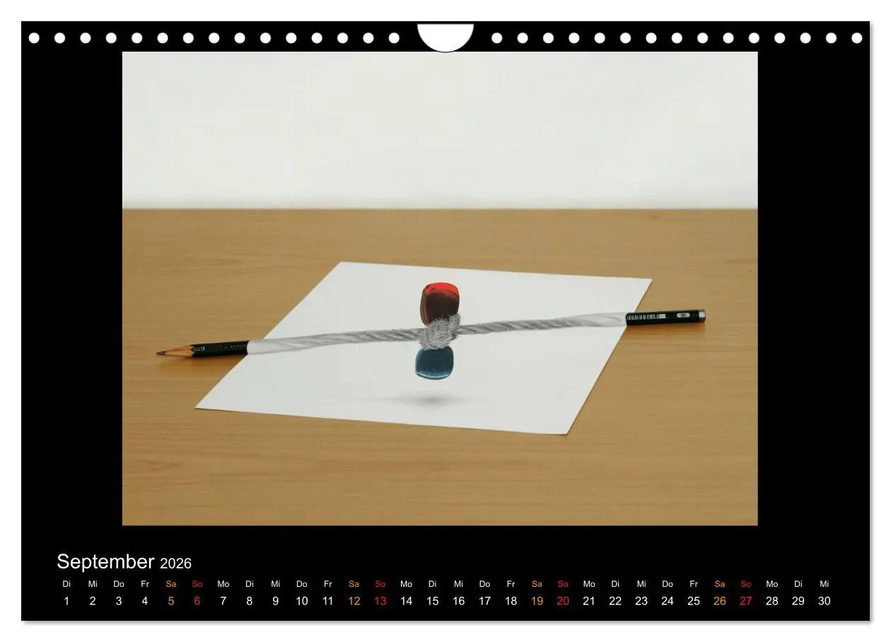 Bild: 9783516134858 | optische Täuschungen 2026 (Wandkalender 2026 DIN A4 quer), CALVENDO...