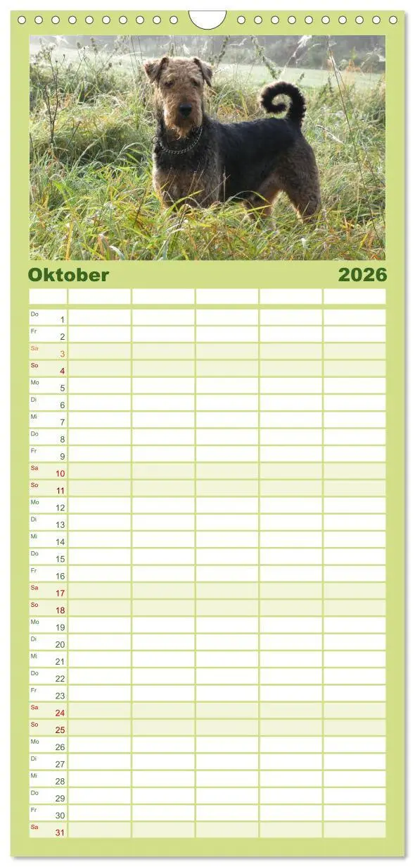 Bild: 9783516514858 | Familienplaner 2026 - Airedale Terrier mit 5 Spalten (Wandkalender,...