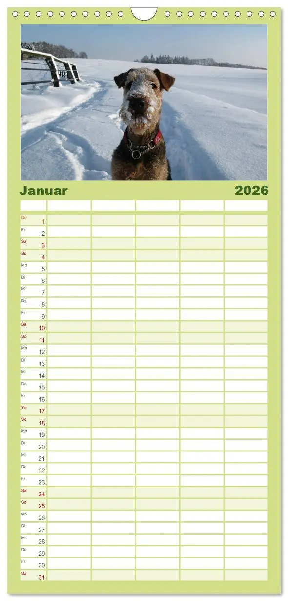 Bild: 9783516514858 | Familienplaner 2026 - Airedale Terrier mit 5 Spalten (Wandkalender,...