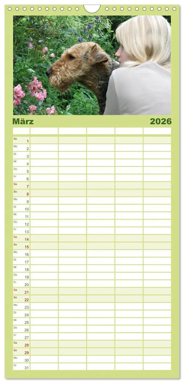 Bild: 9783516514858 | Familienplaner 2026 - Airedale Terrier mit 5 Spalten (Wandkalender,...