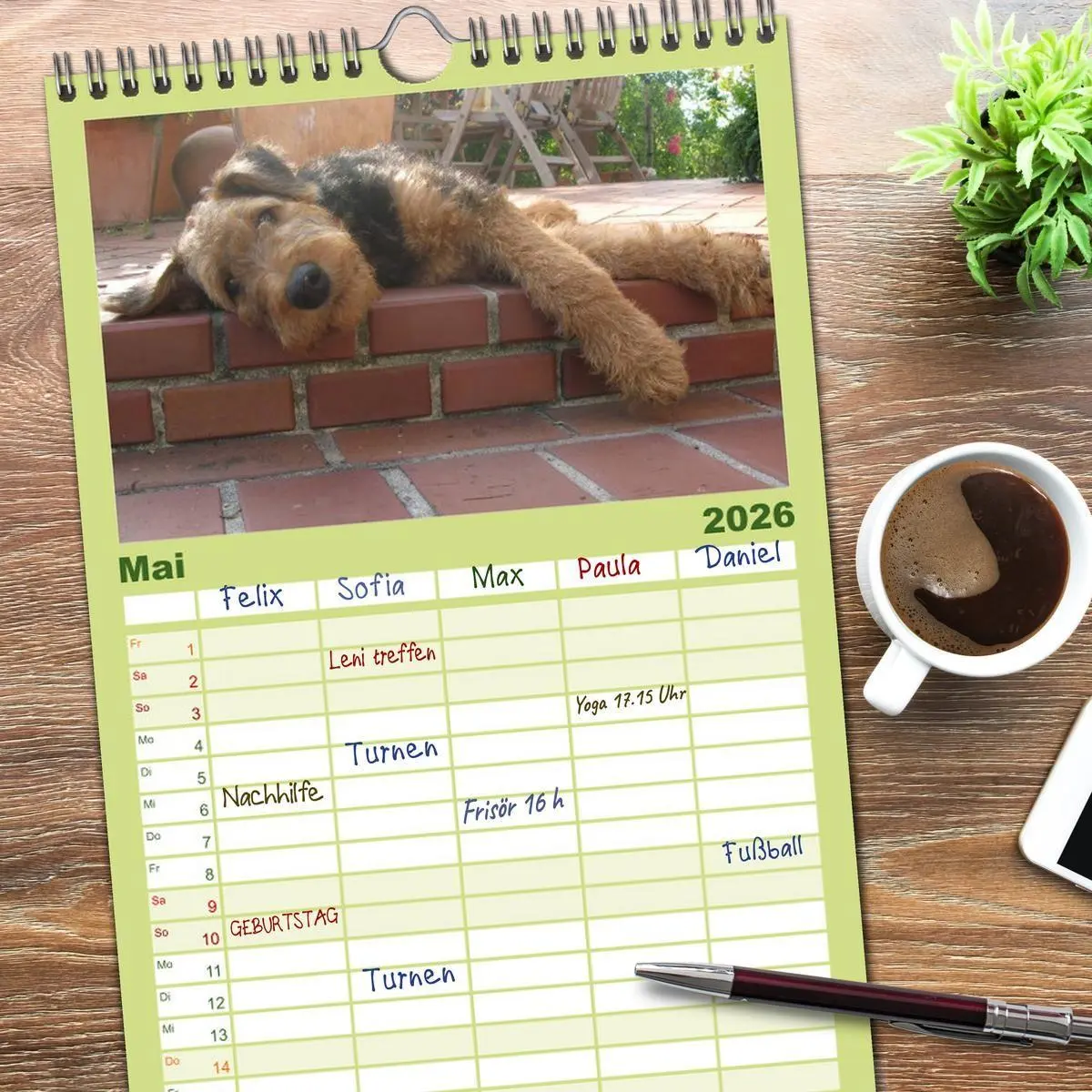 Bild: 9783516514858 | Familienplaner 2026 - Airedale Terrier mit 5 Spalten (Wandkalender,...