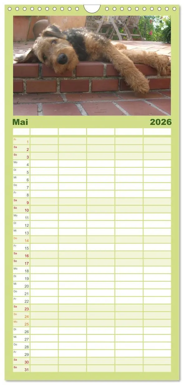 Bild: 9783516514858 | Familienplaner 2026 - Airedale Terrier mit 5 Spalten (Wandkalender,...