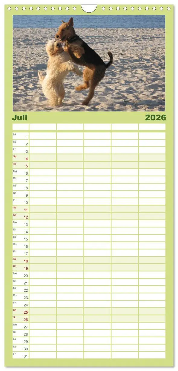 Bild: 9783516514858 | Familienplaner 2026 - Airedale Terrier mit 5 Spalten (Wandkalender,...