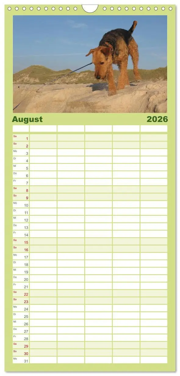 Bild: 9783516514858 | Familienplaner 2026 - Airedale Terrier mit 5 Spalten (Wandkalender,...