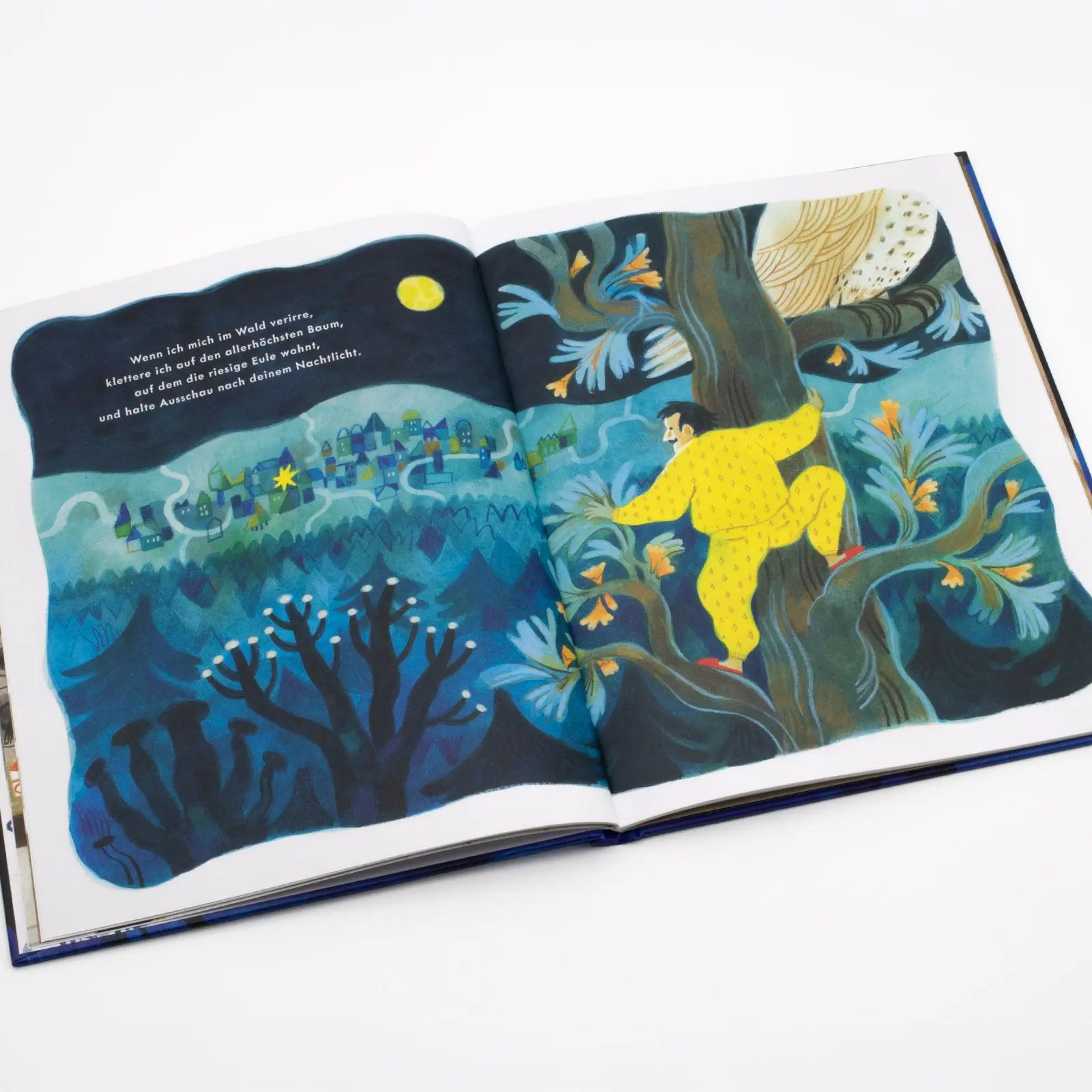 Bild: 9783458644958 | Für dich hab ich Wörter bis zum Mond | Felicita Sala | Buch | 40 S.