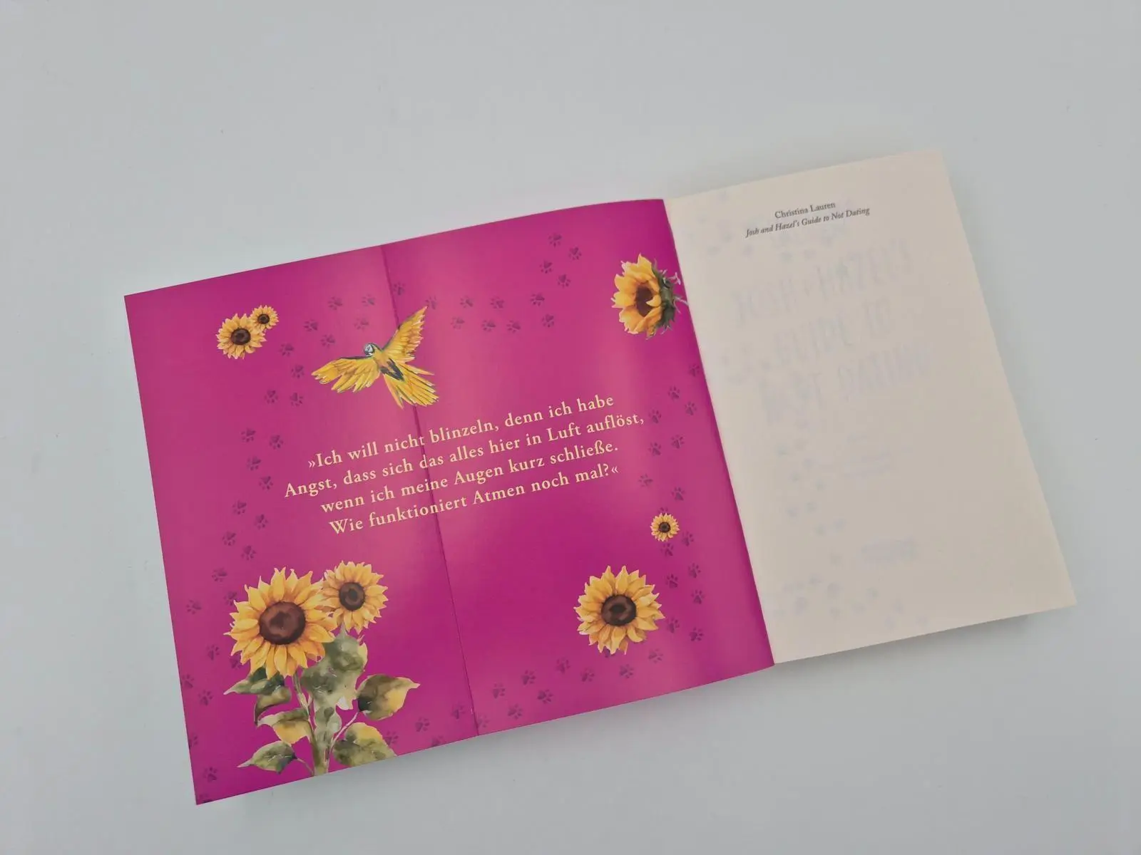 Bild: 9783492064958 | Josh and Hazel's Guide to Not Dating | Christina Lauren | Taschenbuch