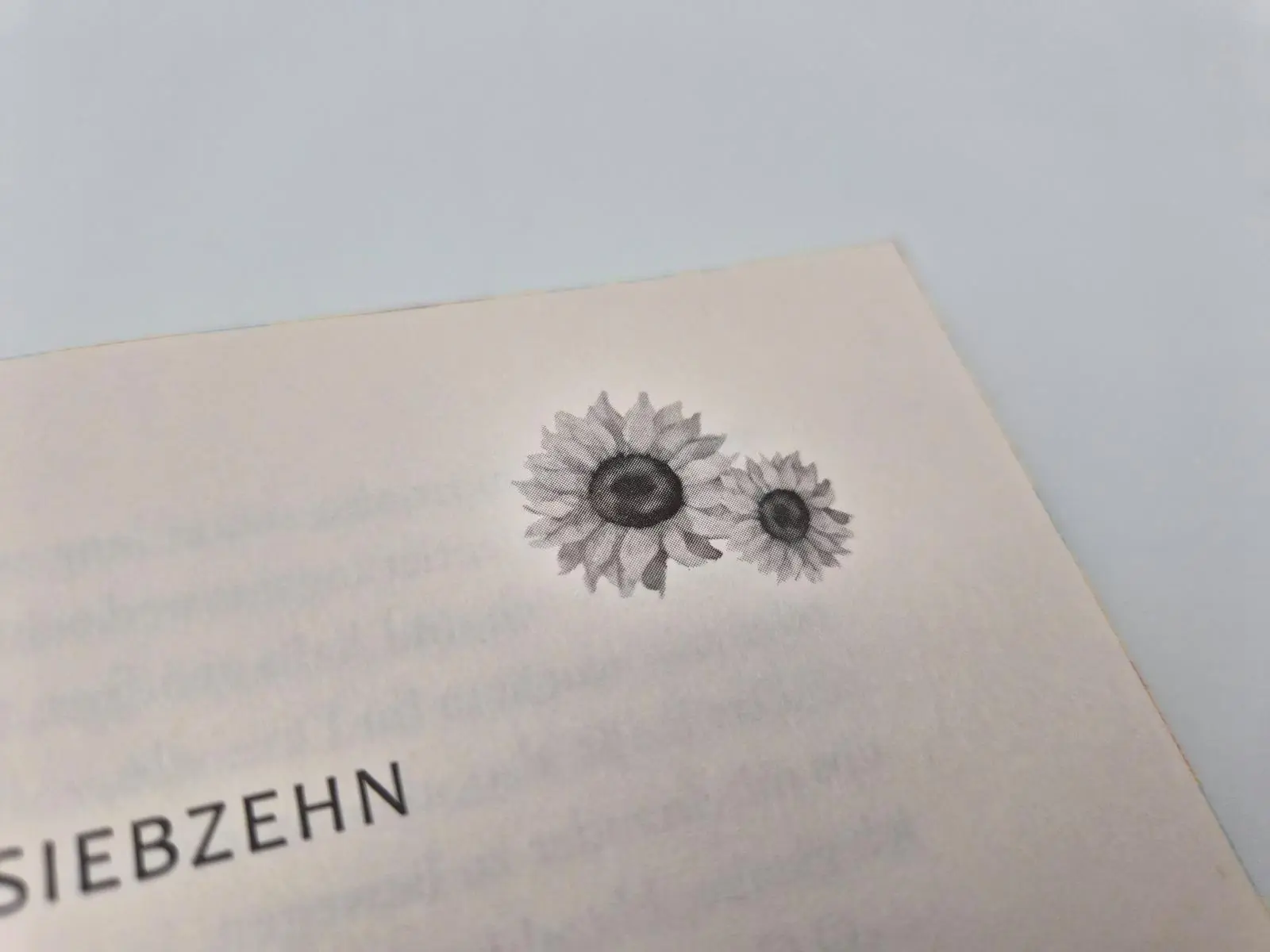 Bild: 9783492064958 | Josh and Hazel's Guide to Not Dating | Christina Lauren | Taschenbuch