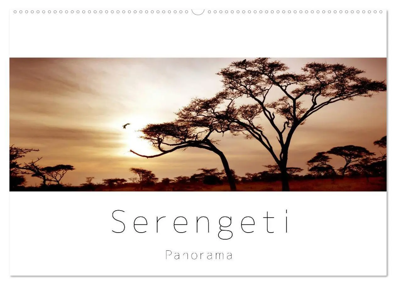 Cover: 9783516124958 | Serengeti Panorama (Wandkalender 2026 DIN A2 quer), CALVENDO...