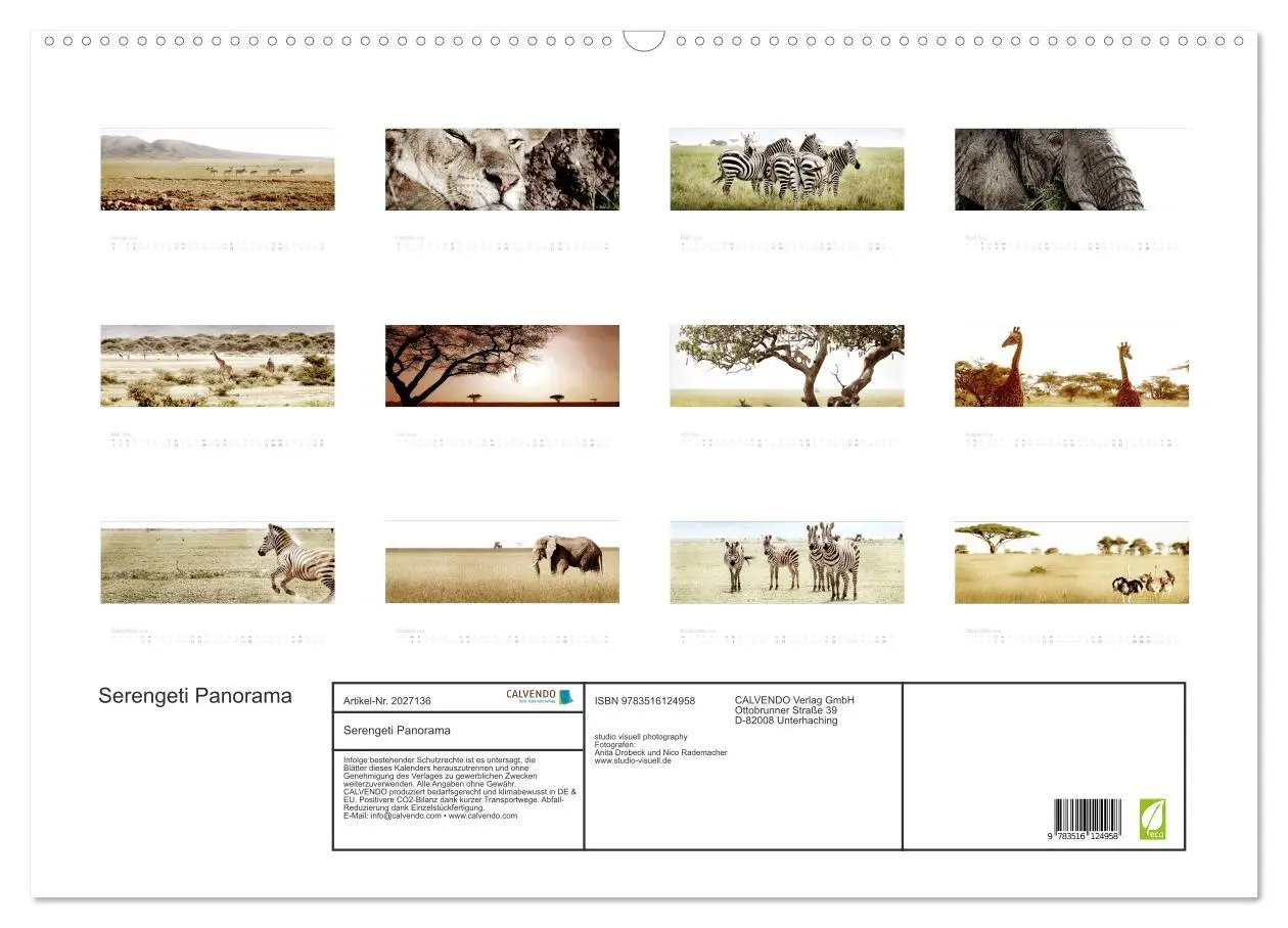 Bild: 9783516124958 | Serengeti Panorama (Wandkalender 2026 DIN A2 quer), CALVENDO...