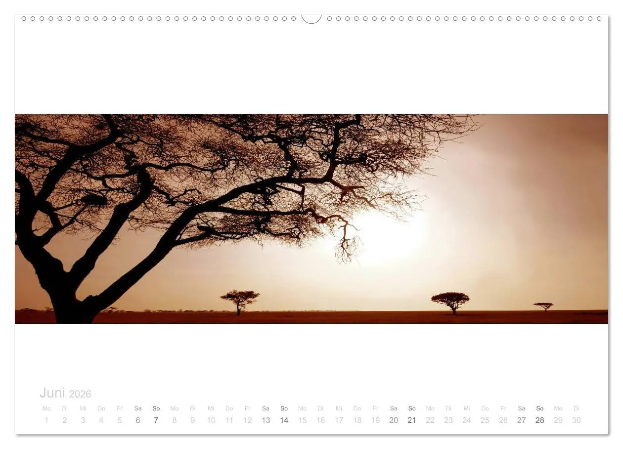 Bild: 9783516124958 | Serengeti Panorama (Wandkalender 2026 DIN A2 quer), CALVENDO...