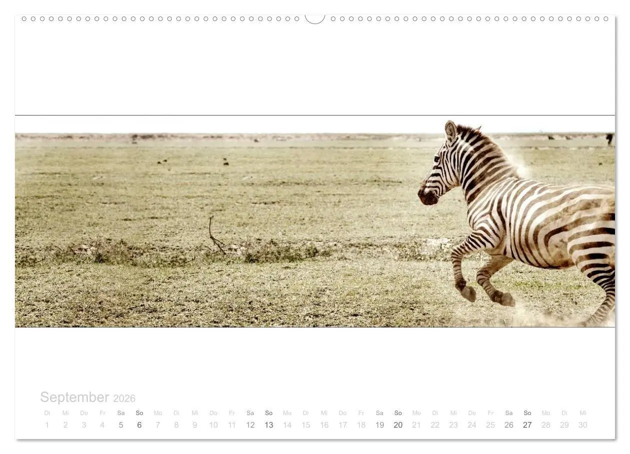 Bild: 9783516124958 | Serengeti Panorama (Wandkalender 2026 DIN A2 quer), CALVENDO...