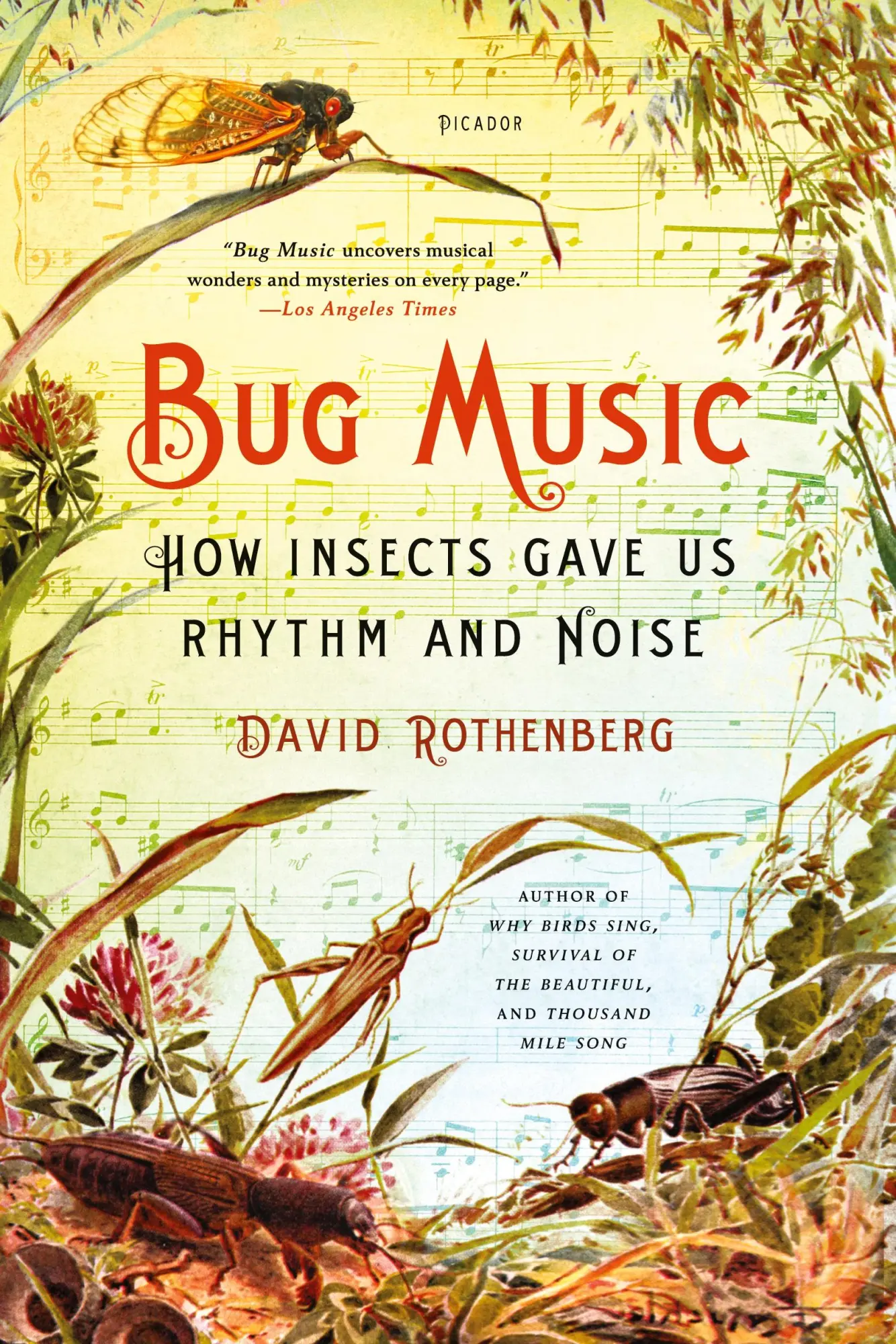 Cover: 9781250045058 | BUG MUSIC | David Rothenberg | Taschenbuch | Kartoniert / Broschiert