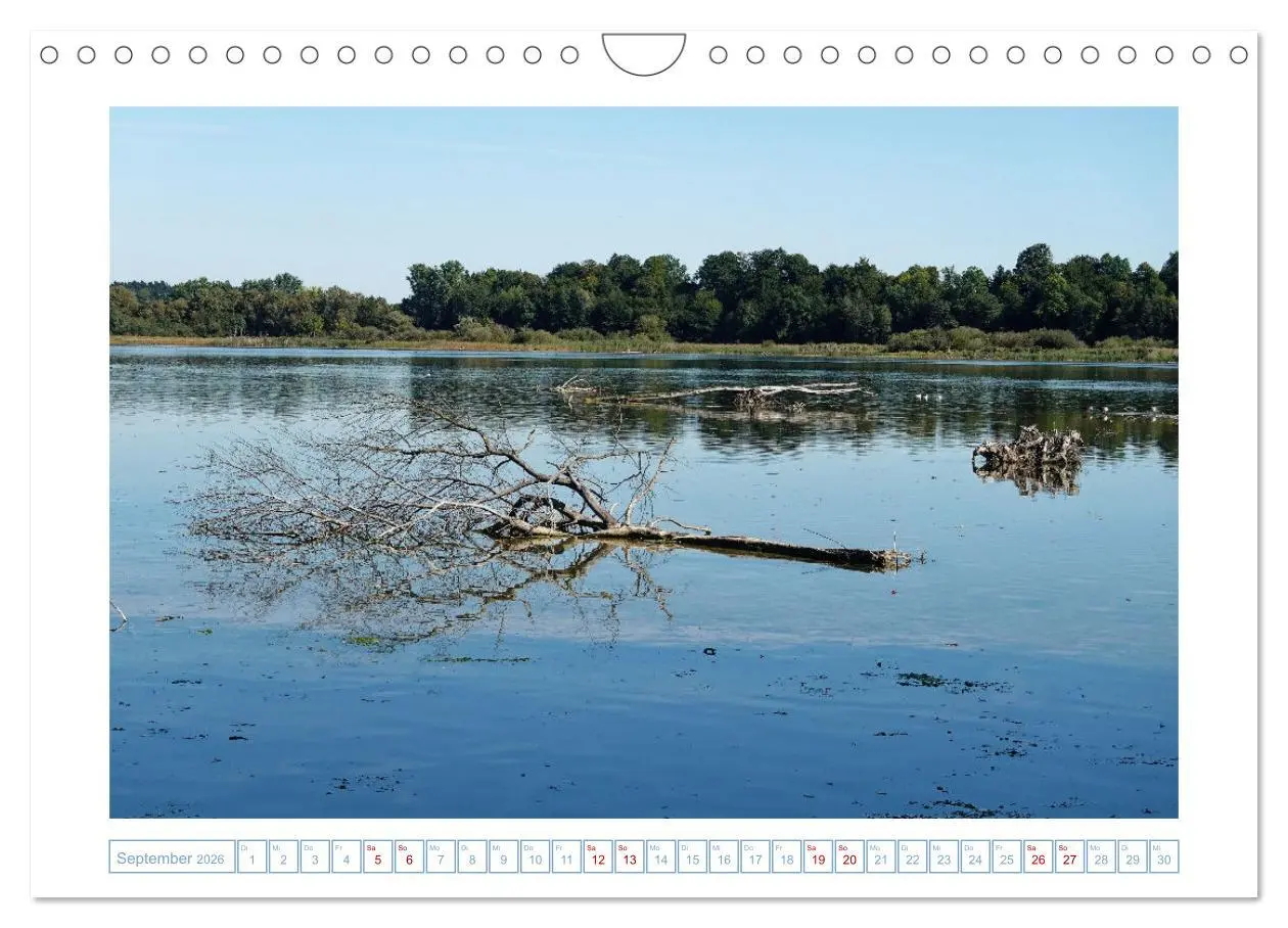 Bild: 9783457615058 | Chiemgau - Impressionen (Wandkalender 2026 DIN A4 quer), CALVENDO...