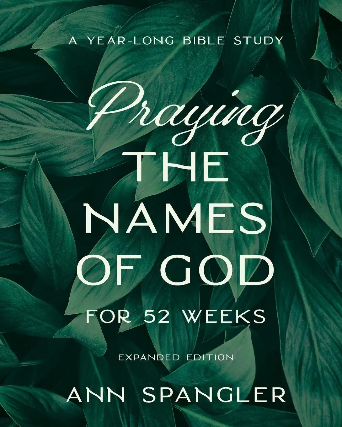 Cover: 9780310145158 | Praying the Names of God for 52 Weeks, Expanded Edition | Ann Spangler