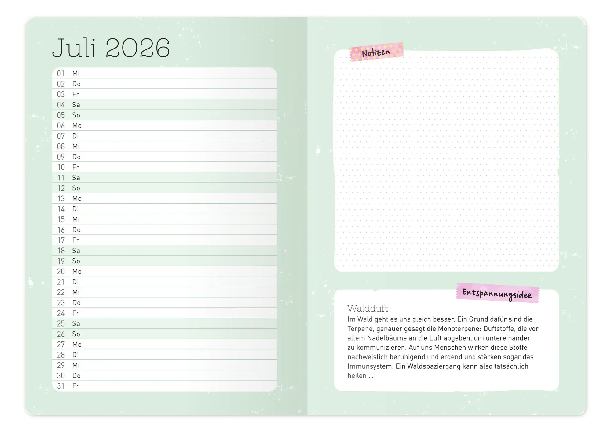 Bild: 9783780655158 | Der Kita-Planer 2026 / 2027 | Juli 2026 bis Dezember 2027 | Buchmann
