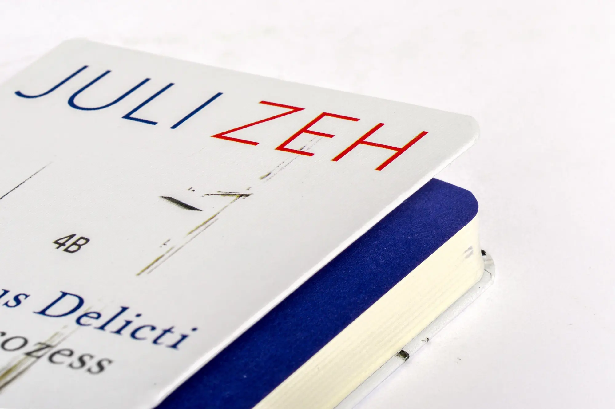 Bild: 9783442745258 | Corpus Delicti | Ein Prozess | Juli Zeh | Buch | btb | 288 S. | 2013