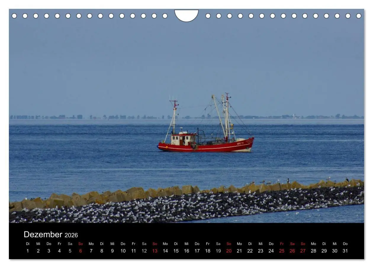 Bild: 9783516165258 | Cuxhaven an der Nordsee (Wandkalender 2026 DIN A4 quer), CALVENDO...