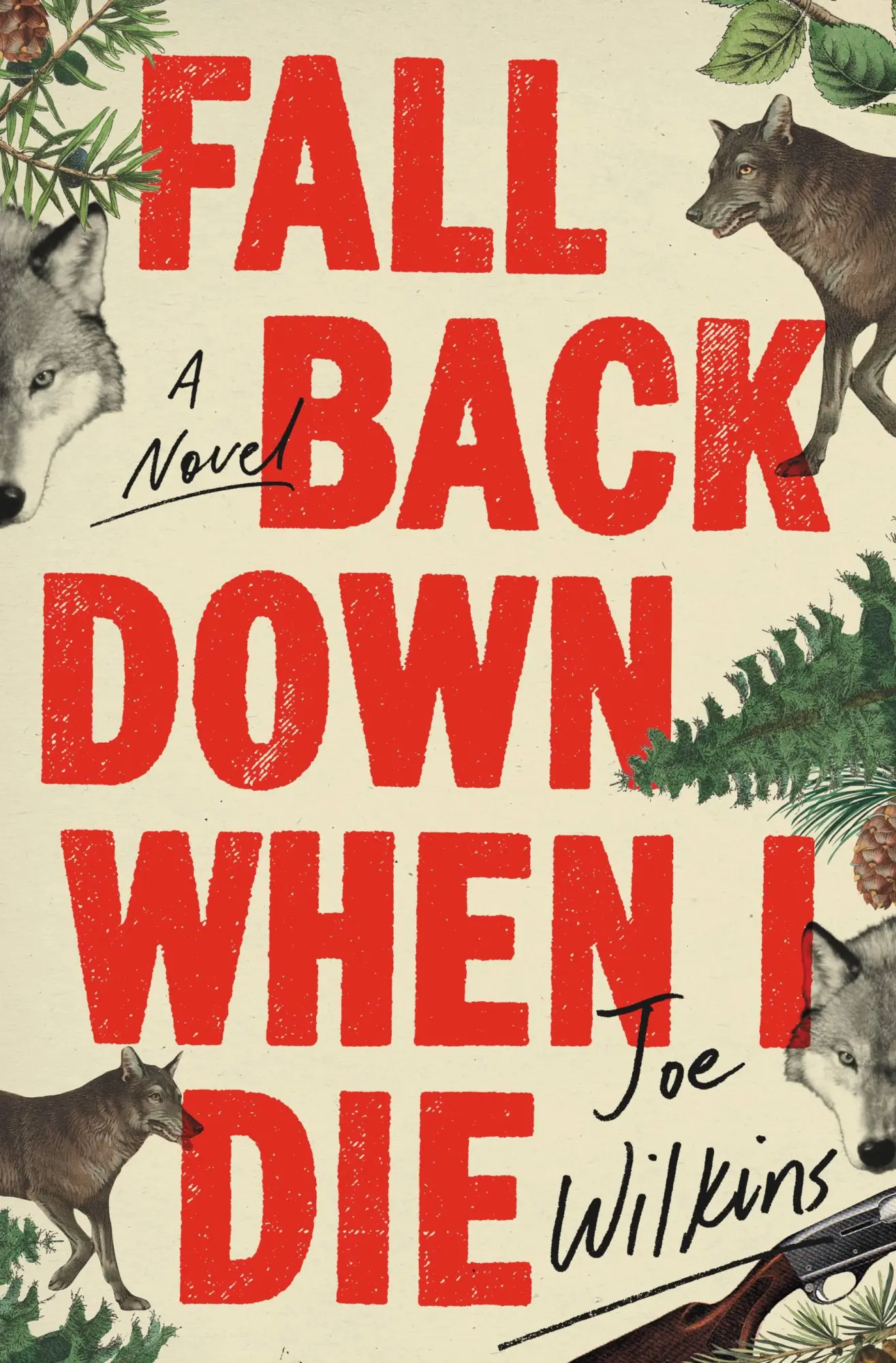 Cover: 9780316475358 | Fall Back Down When I Die | Joe Wilkins | Buch | Englisch | 2019