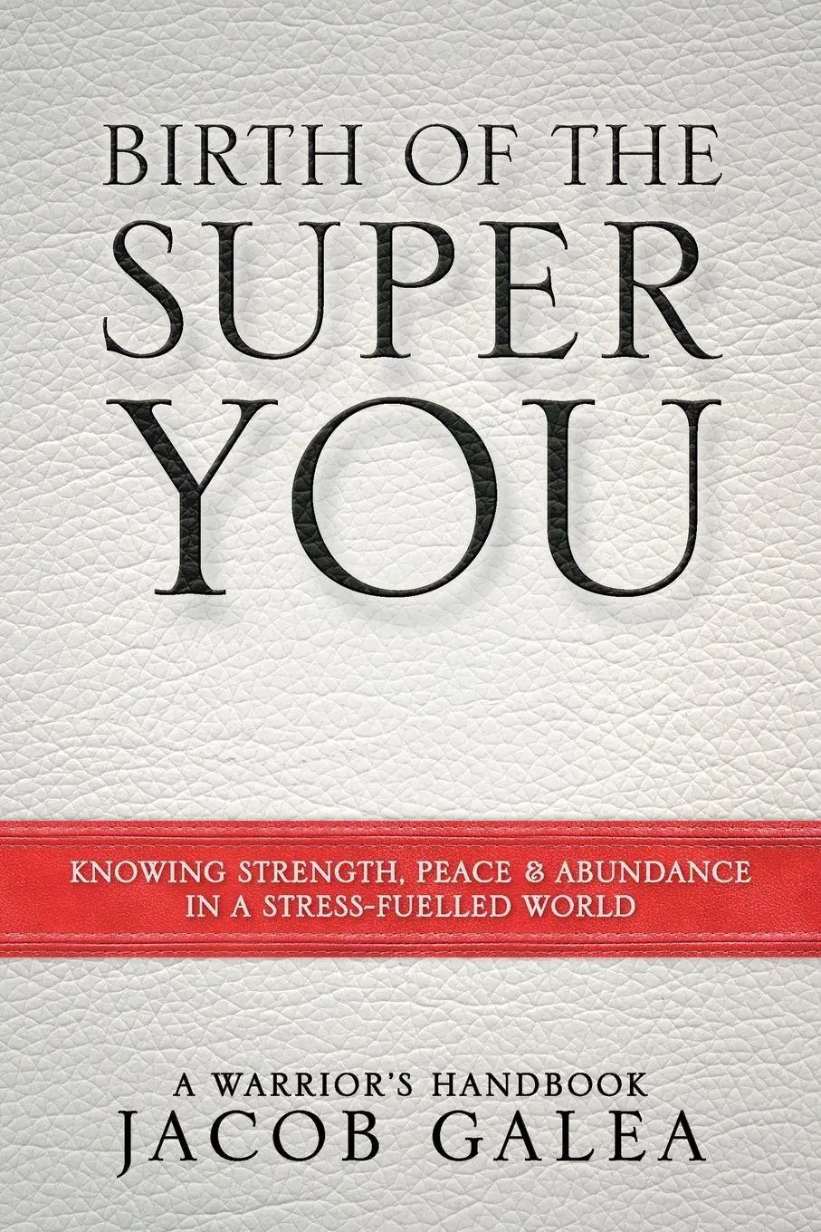 Cover: 9781452525358 | Birth of the Super You | Jacob Galea | Taschenbuch | Englisch | 2014