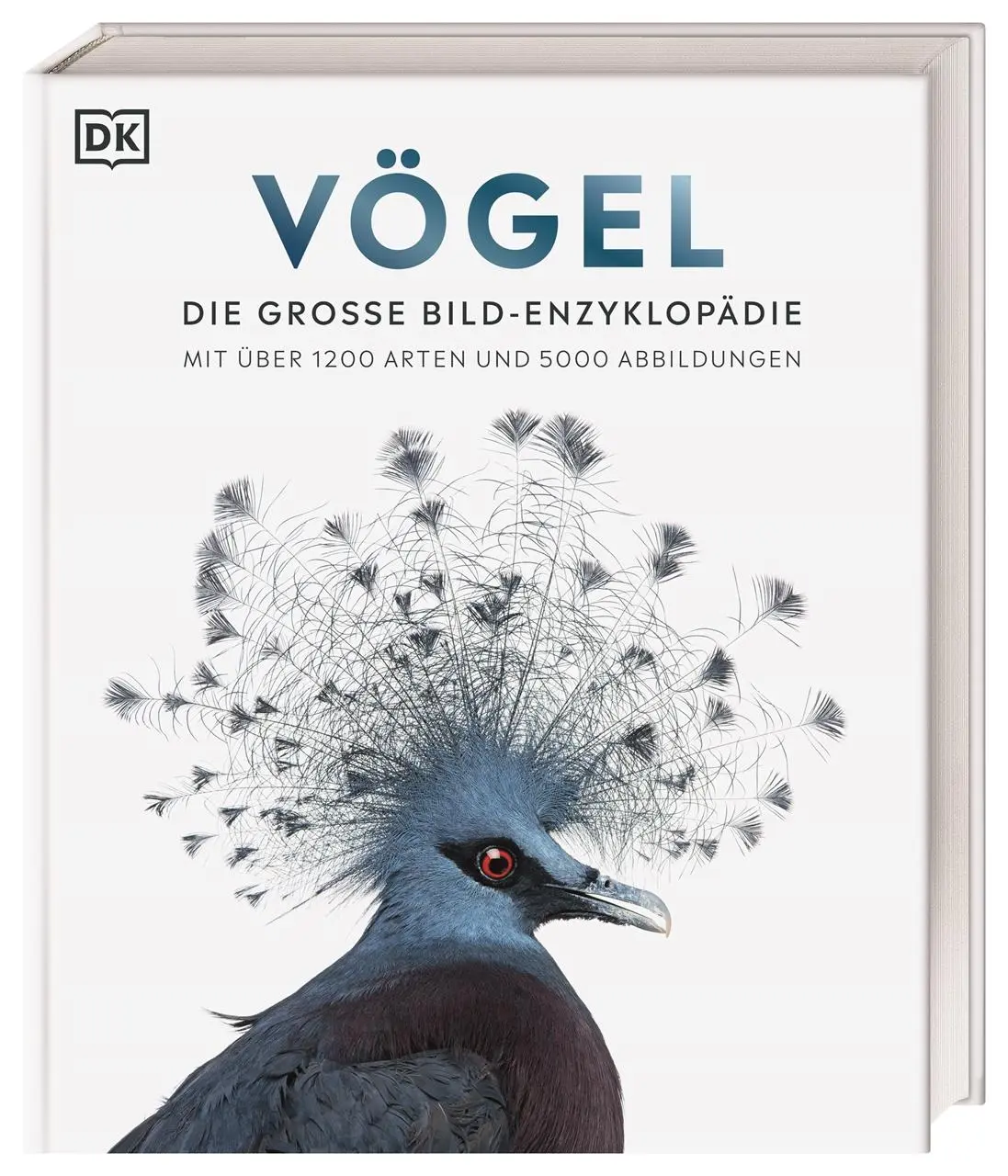 Cover: 9783831045358 | Vögel | DK Verlag | Buch | Cover mit Folienveredlung | 512 S. | 2022