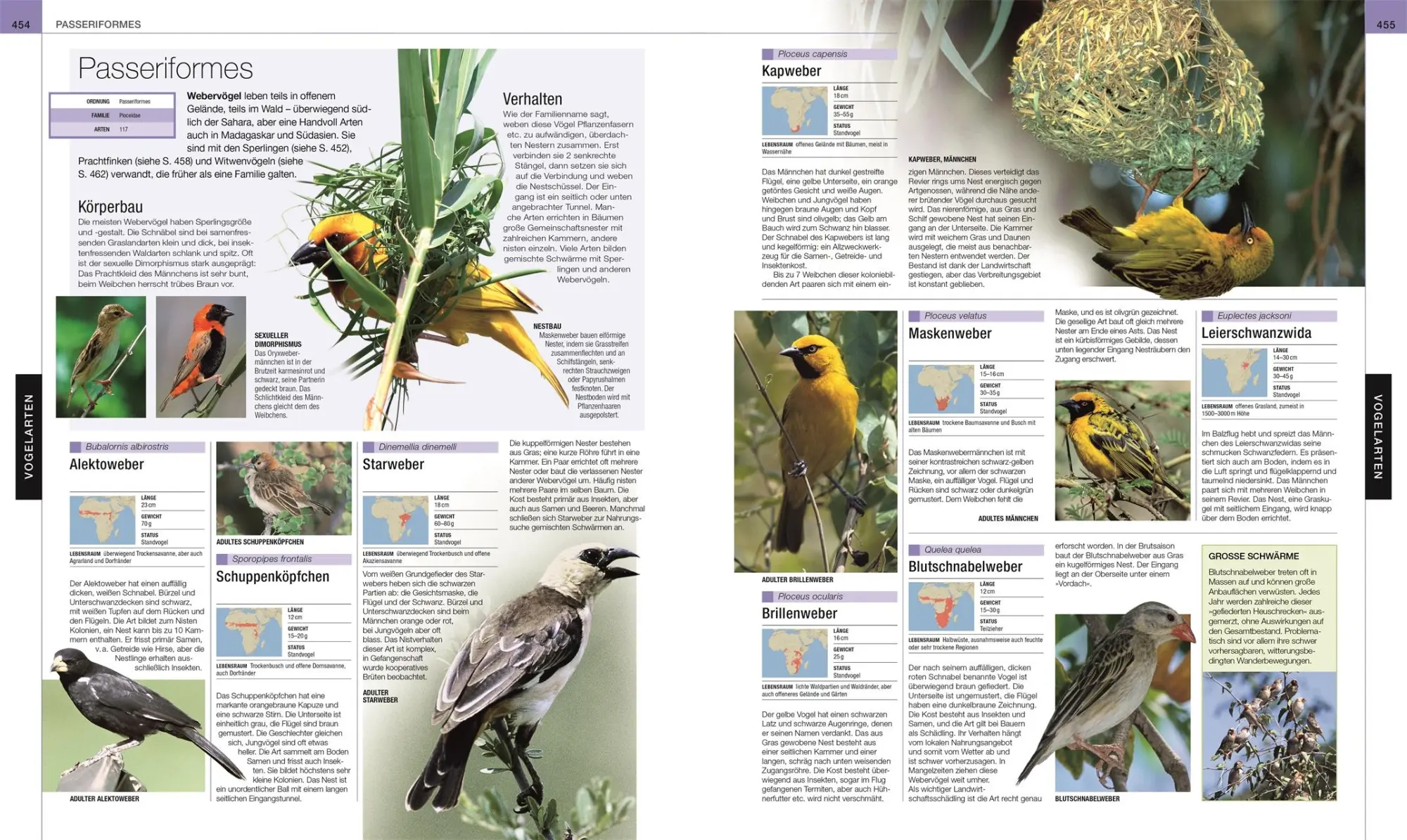 Bild: 9783831045358 | Vögel | DK Verlag | Buch | Cover mit Folienveredlung | 512 S. | 2022