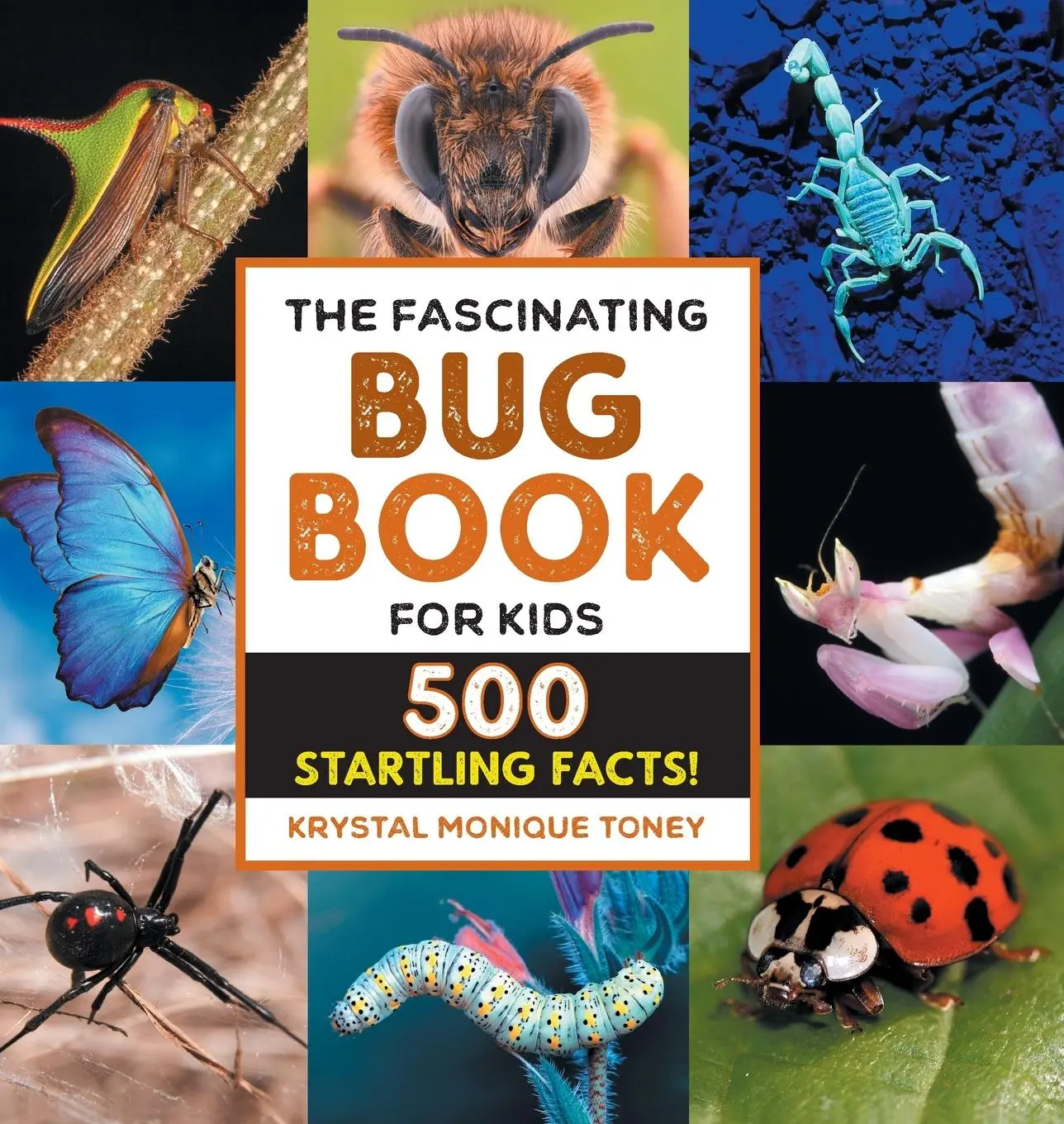 Cover: 9798886085358 | The Fascinating Bug Book for Kids | 500 Startling Facts! | Toney