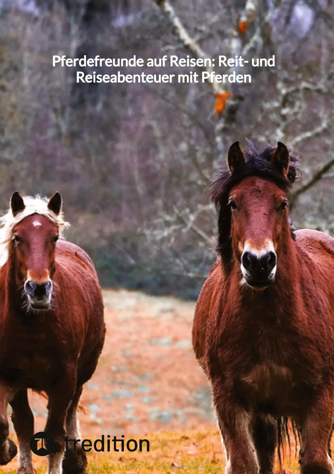 Cover: 9783347855458 | Pferdefreunde auf Reisen: Reit- und Reiseabenteuer mit Pferden | Buch