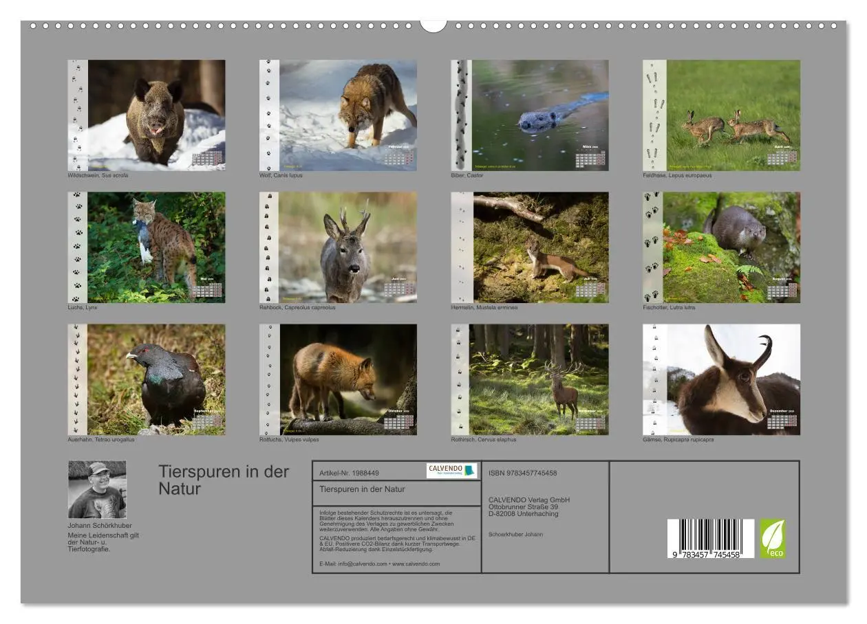 Bild: 9783457745458 | Tierspuren in der Natur (hochwertiger Premium Wandkalender 2026 DIN...