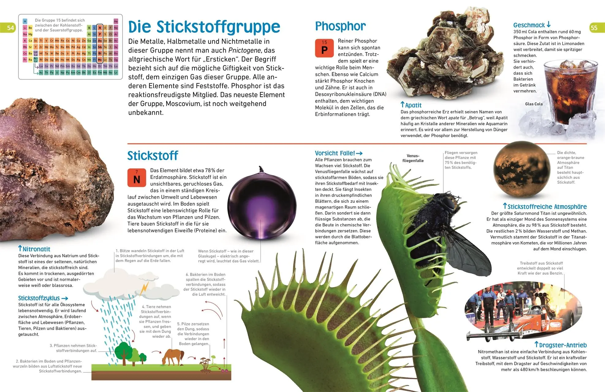 Bild: 9783831035458 | memo Wissen entdecken. Chemische Elemente | DK Verlag - Kids | Buch