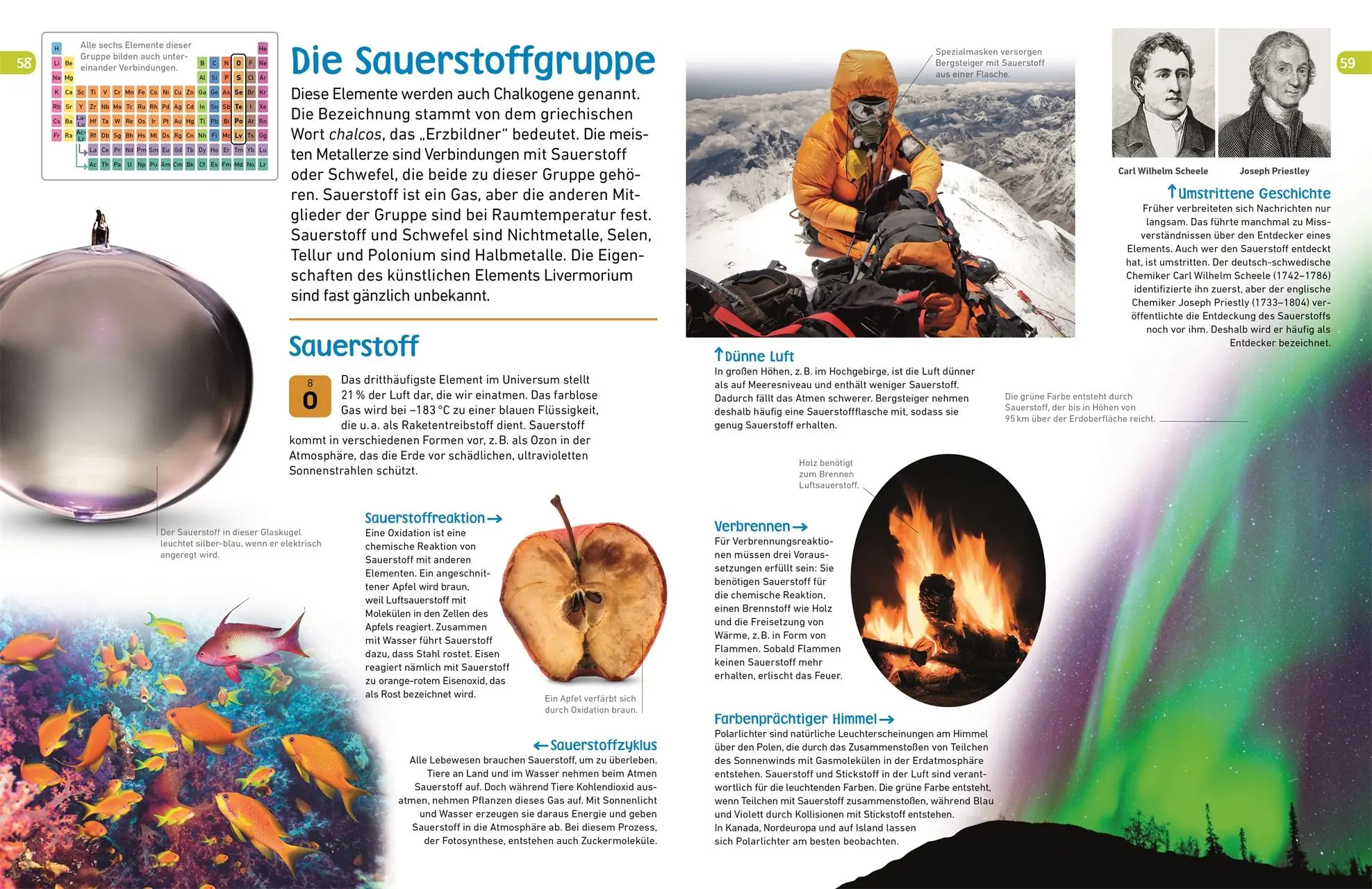 Bild: 9783831035458 | memo Wissen entdecken. Chemische Elemente | DK Verlag - Kids | Buch