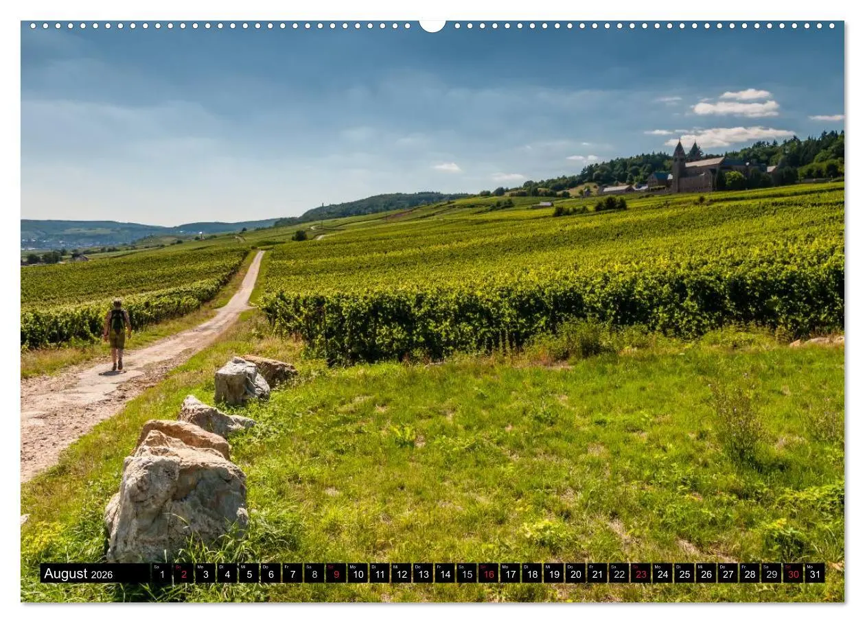 Bild: 9783516135558 | Rheinsteig Impressionen III (Wandkalender 2026 DIN A2 quer),...