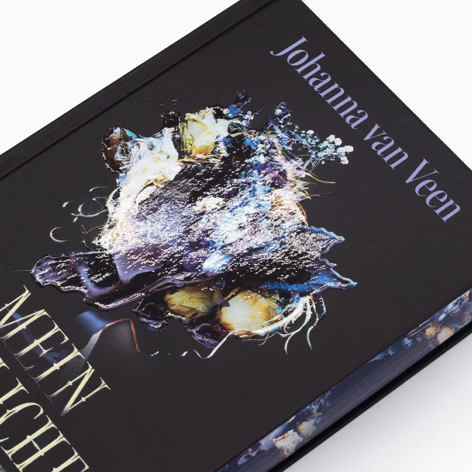 Bild: 9783458645658 | Mein zärtlicher Schatten | Johanna van Veen | Buch | 400 S. | Deutsch
