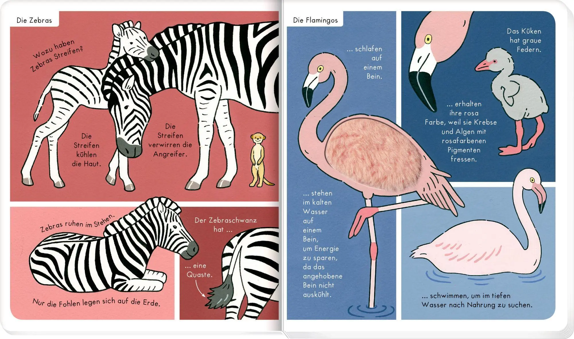 Bild: 9783649645658 | Mein Fühl-Wörterbuch | Wilde Tiere | Sybille Brauer | Buch | 12 S.