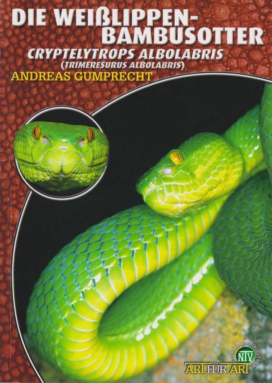 Cover: 9783937285658 | Die Weißlippen-Bambusotter | Andreas Gumprecht | Taschenbuch | Deutsch