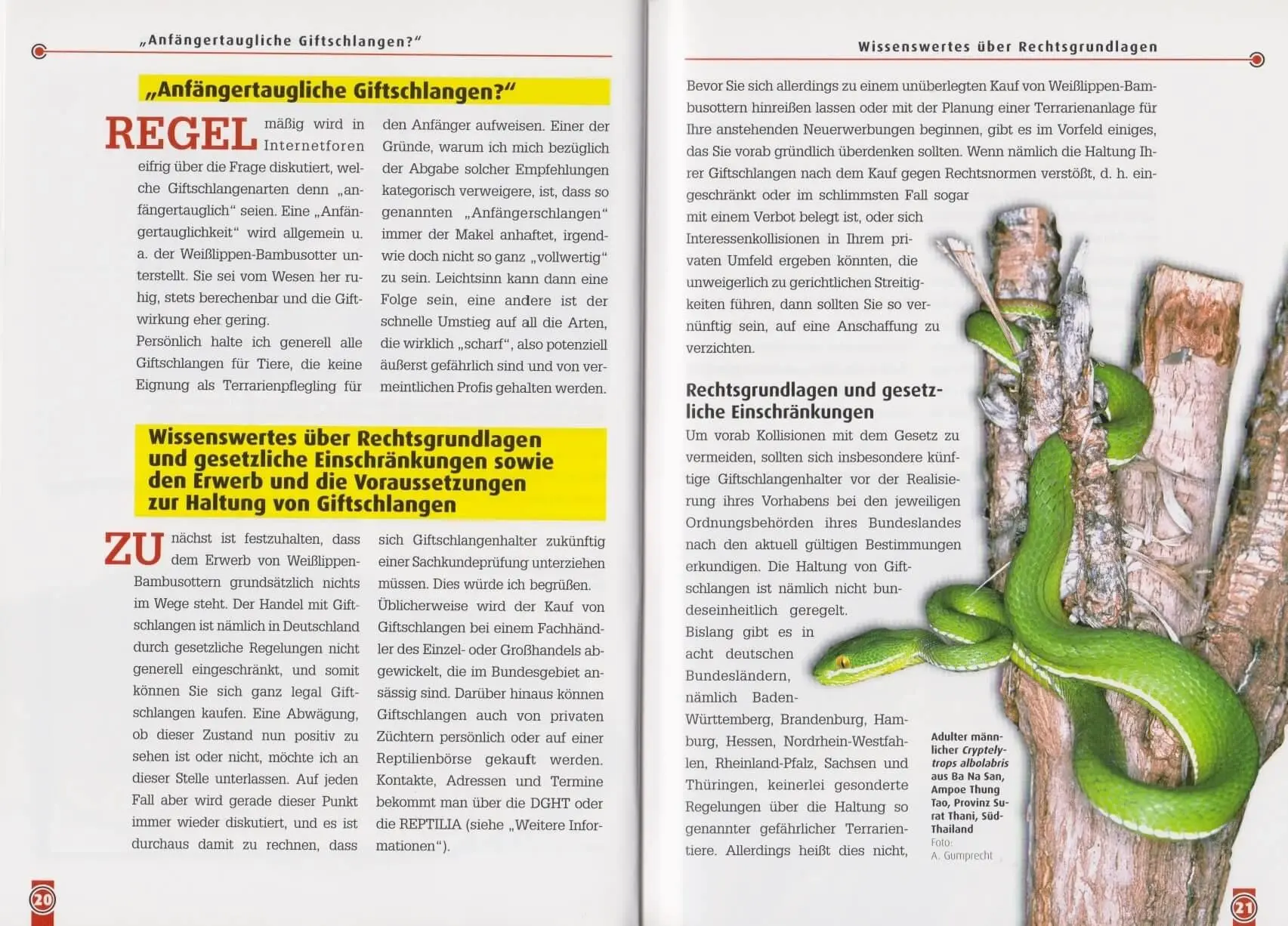 Bild: 9783937285658 | Die Weißlippen-Bambusotter | Andreas Gumprecht | Taschenbuch | Deutsch