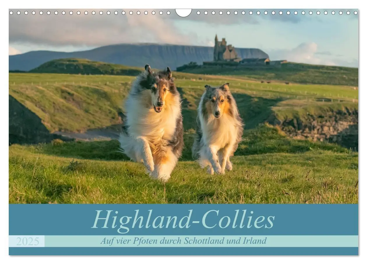 Cover: 9783435175758 | Highland-Collies - Auf vier Pfoten durch Schottland und Irland...