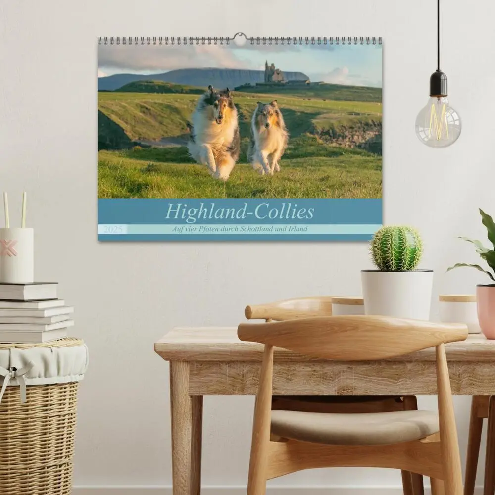 Bild: 9783435175758 | Highland-Collies - Auf vier Pfoten durch Schottland und Irland...